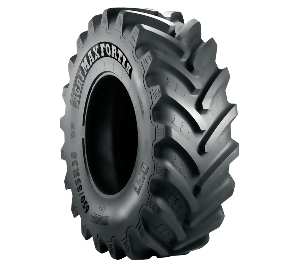 600/70R30 BKT AGRIMAX FORTIS 161A8/158D R-1W TL